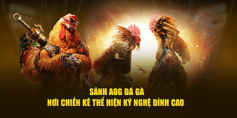 sảnh đá gà aog